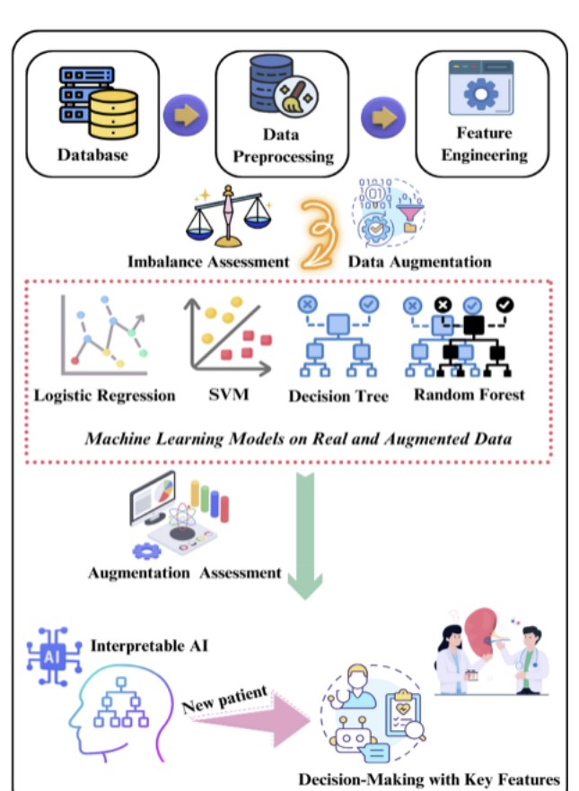 Clinical decision-support pipeline: database, preprocessing and feature engineering; imbalance assessment and data augmentation; four machine learning models on real and augmented data; augmentation assessment; interpretable AI feeding decision-making for a new patient